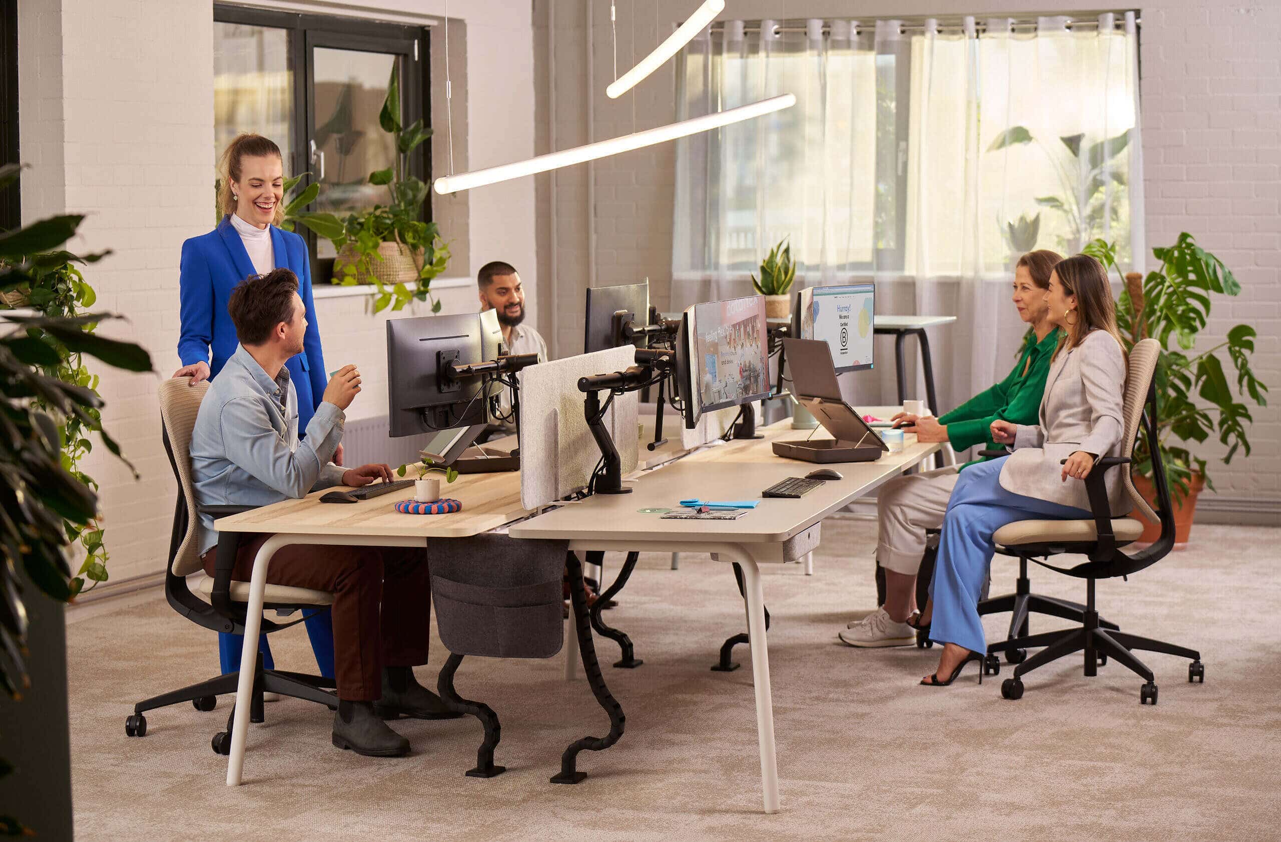 ViewGo Pro Monitorhalterung